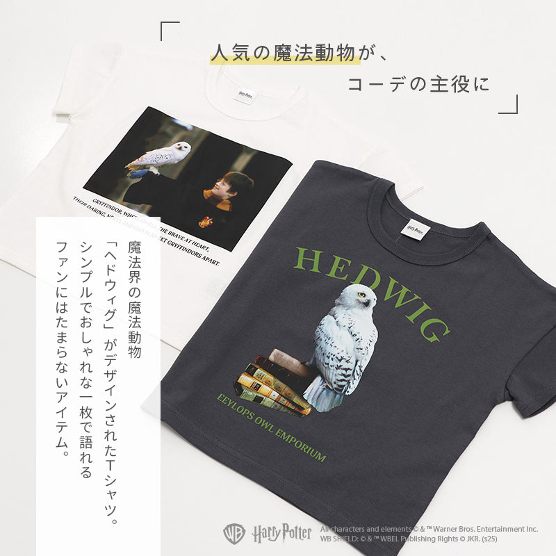 ハリー・ポッター〉半袖Tシャツ – JAM&LINK