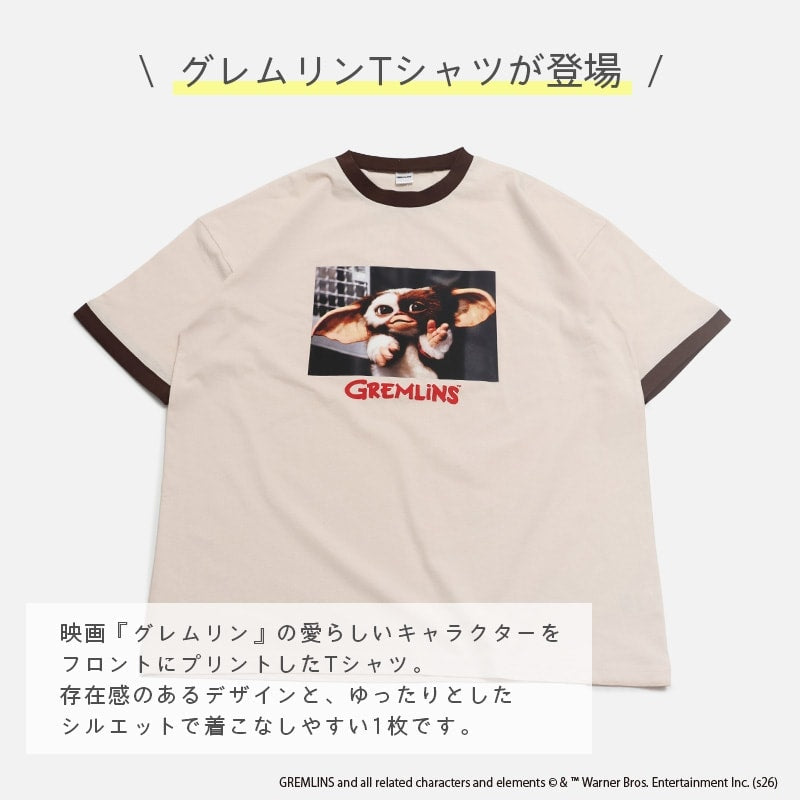 〈ワーナー〉映画半袖Tシャツ（大人）